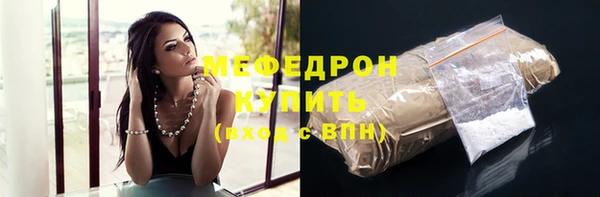 шишки Гусиноозёрск